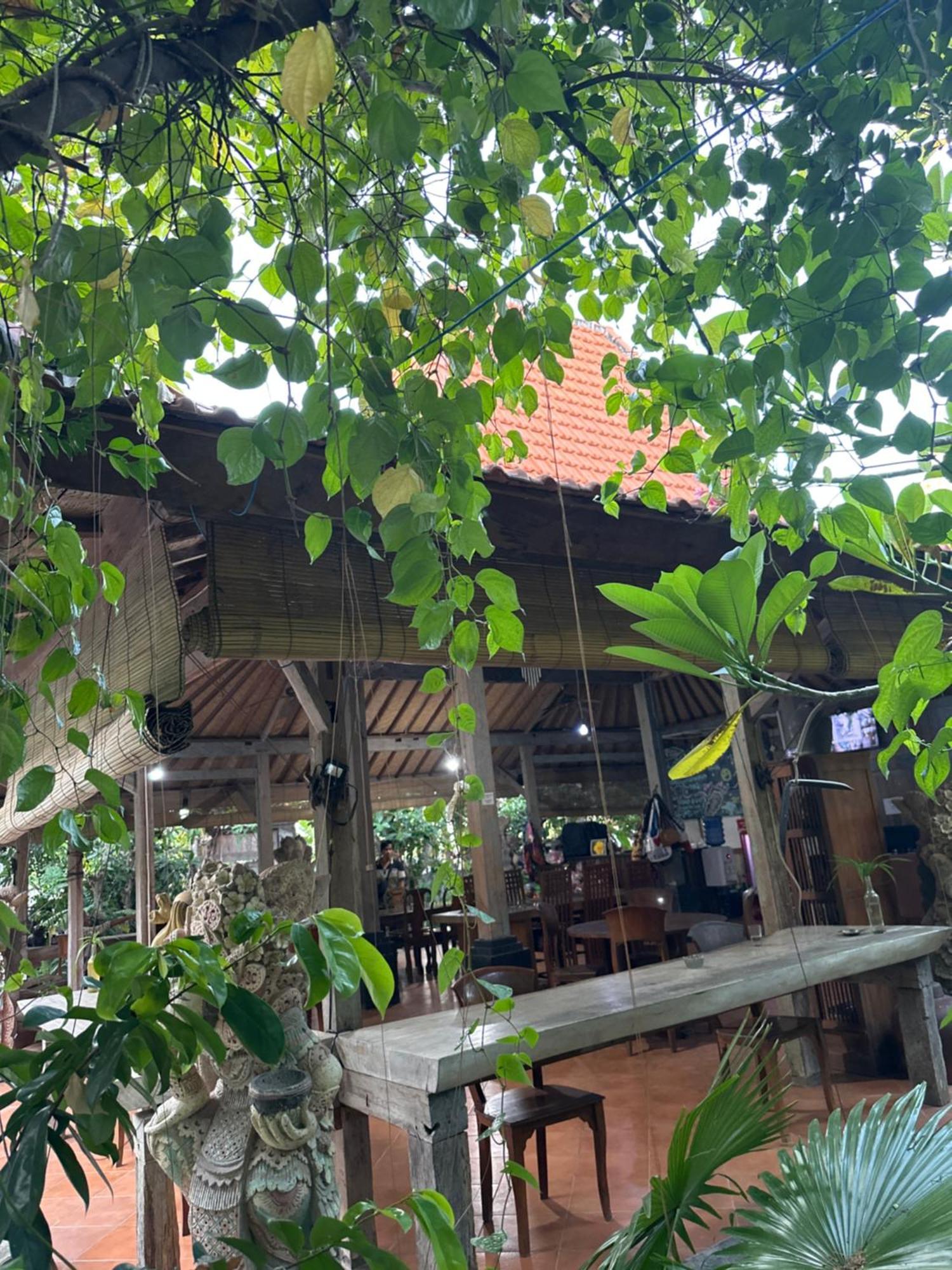 Bali Telaga Hati Yoga Healing And Retreat Center *